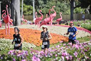 BIB: 
                            <button type="button" onclick="openModal(27793732)" class="btn btn-primary btn-sm float-right btn-popup" data-toggle="modal" data-target=".modal-high-quality">
                        <i class="fas fa-shopping-cart"></i> Add to Cart
                    </button>
                                            <button type="button" onclick="isThisMe(27793732, true)" class="btn btn-success btn-sm float-right btn-popup btn-isme hidden" data-toggle="tooltip" data-placement="bottom" title="นี่คือรูปของคุณใช่ไหม คลิกที่นี่เพื่อเอาเข้าอัลบั้ม">
                        <i class="fas fa-plus"></i> Add to album
                    </button>
                    <button type="button" onclick="isThisMe(27793732, false)" class="btn btn-warning btn-sm float-right btn-popup btn-isnotme hidden">
                        <i class="fas fa-ban"></i> Remove from album
                    </button>